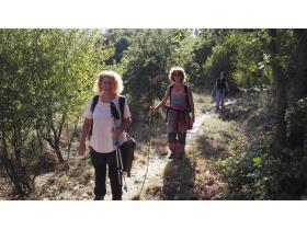 photo coins arrondis