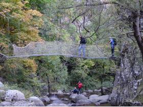 photo coins arrondis