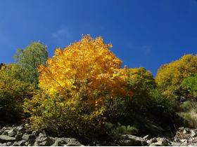 photo coins arrondis