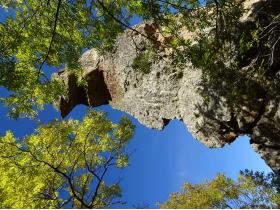 photo coins arrondis