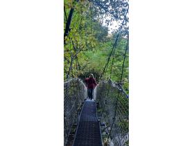 photo coins arrondis