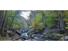 photo coins arrondis