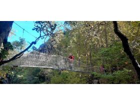 photo coins arrondis