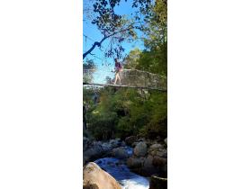 photo coins arrondis