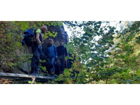 photo coins arrondis