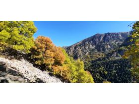 photo coins arrondis