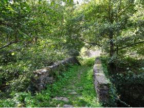 photo coins arrondis