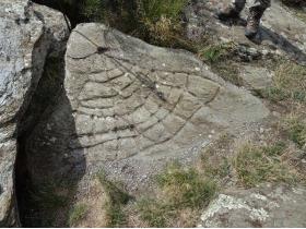 photo coins arrondis