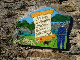 photo coins arrondis