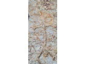 photo coins arrondis