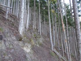 photo coins arrondis