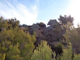 photo coins arrondis