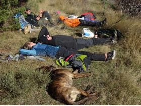 photo coins arrondis