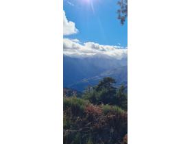 photo coins arrondis