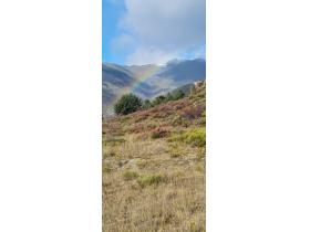 photo coins arrondis