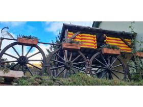 photo coins arrondis