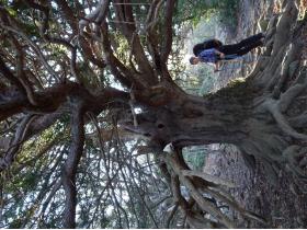 photo coins arrondis