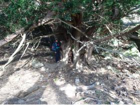 photo coins arrondis