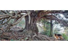 photo coins arrondis