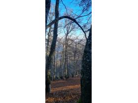 photo coins arrondis