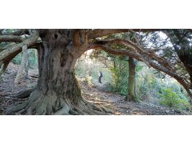 photo coins arrondis