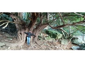 photo coins arrondis