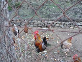 photo coins arrondis