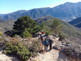 photo coins arrondis