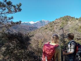 photo coins arrondis