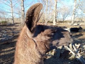 photo coins arrondis