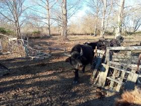 photo coins arrondis