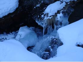 photo coins arrondis