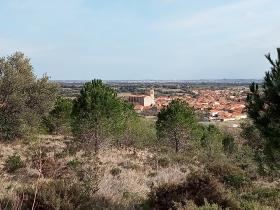 photo coins arrondis