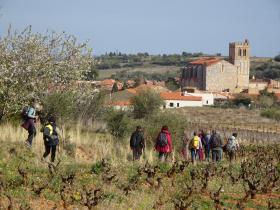 Image al&eacute;atoire