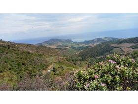 photo coins arrondis