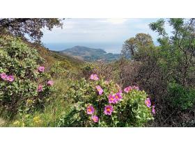 photo coins arrondis