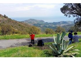 photo coins arrondis