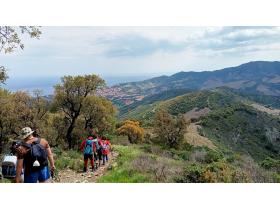 photo coins arrondis