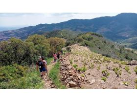 photo coins arrondis