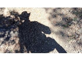 photo coins arrondis