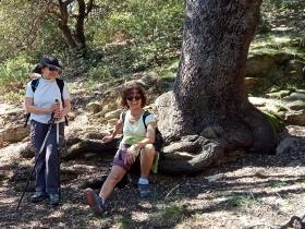 photo coins arrondis