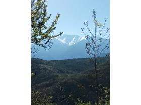 photo coins arrondis