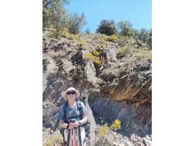 photo coins arrondis