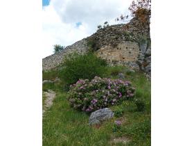 photo coins arrondis