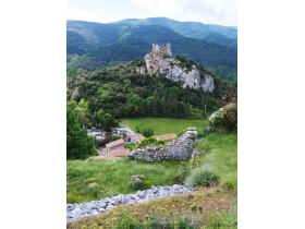 photo coins arrondis