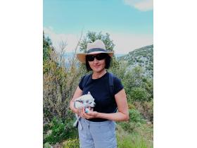 photo coins arrondis