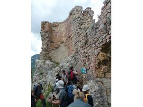 photo coins arrondis