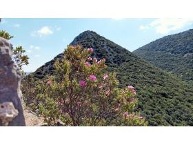 photo coins arrondis