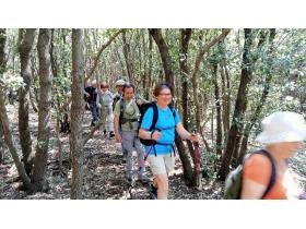 photo coins arrondis