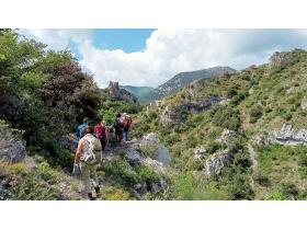 photo coins arrondis